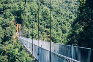 安徽驚險刺激景區全攻略 5D玻璃橋、高空滑索，挑戰你的勇氣極限！