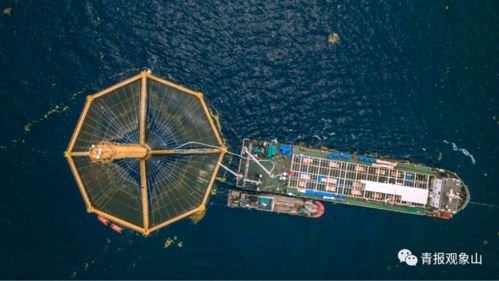 青島龍頭引領再升級 山東重磅規劃賦能，景區管理迎發展新機