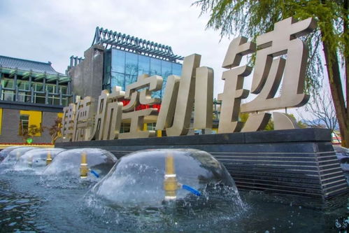 福利來襲！建德航空小鎮獲評國家4A級景區，免費溫泉等您來暢享