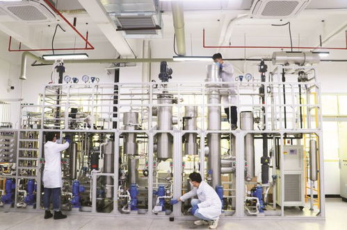 4家代表性省級重點實驗室及新型研發(fā)機構聚力創(chuàng)新研發(fā) 賦能惠州做強 2 1 現代產業(yè)集群