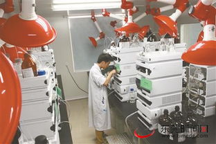 東莞 新型研發(fā)機(jī)構(gòu)留才用才有妙招