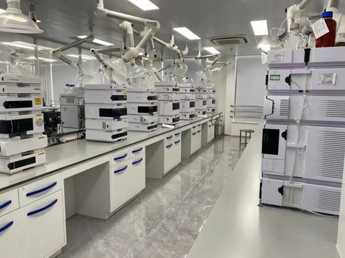 打破國外二十年壟斷 這款藥品,臨海造