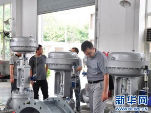 重慶理工大學成功研發(fā)新型滑板式調節(jié)閥 已出口國外